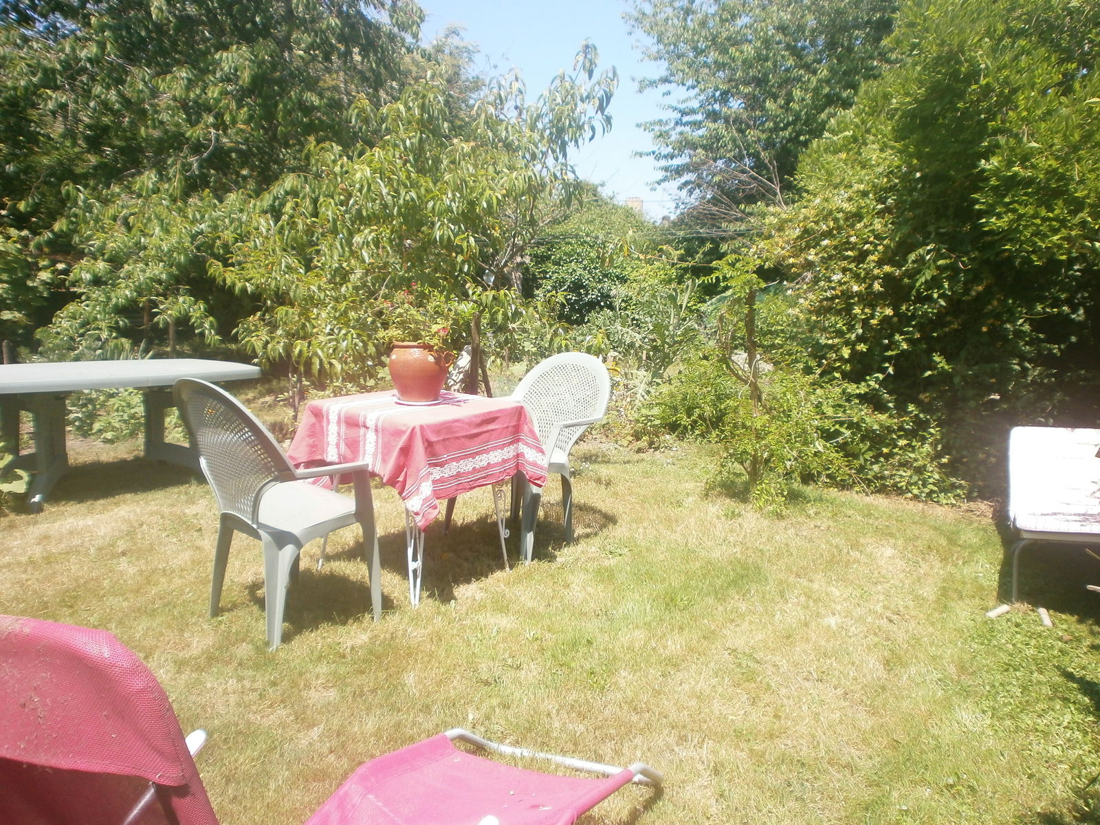 Gastfamilie Labastide-d'Armagnac 94487