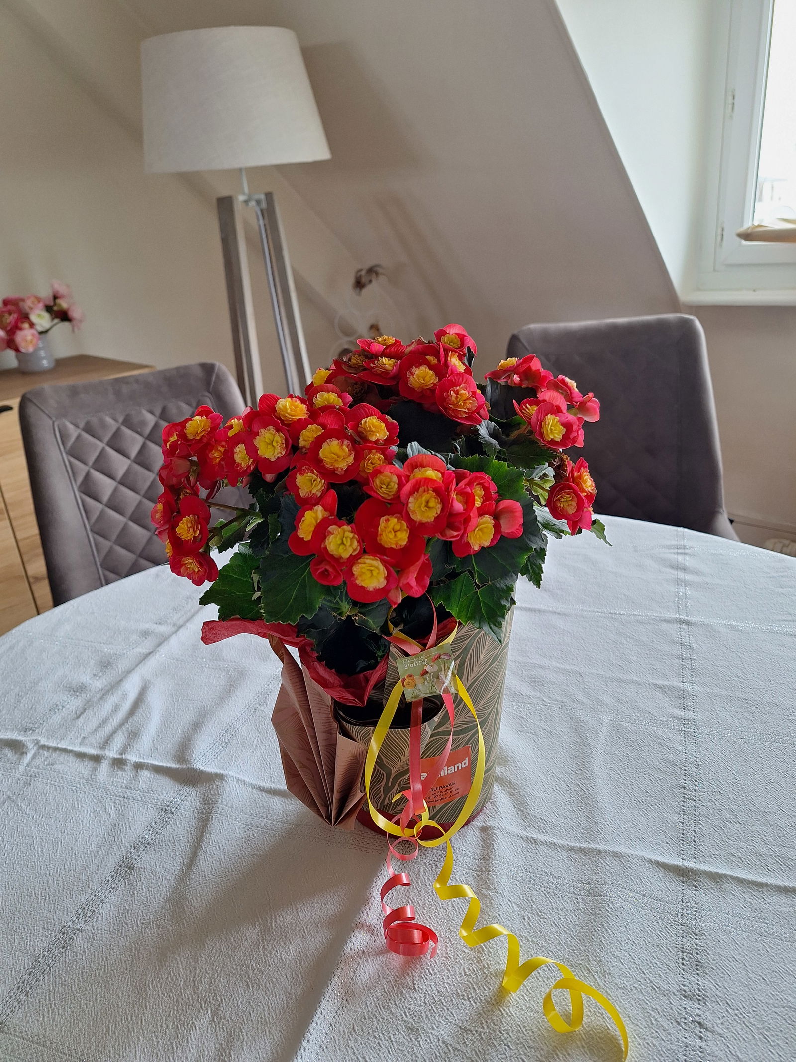 Gastfamilie Brest 30533