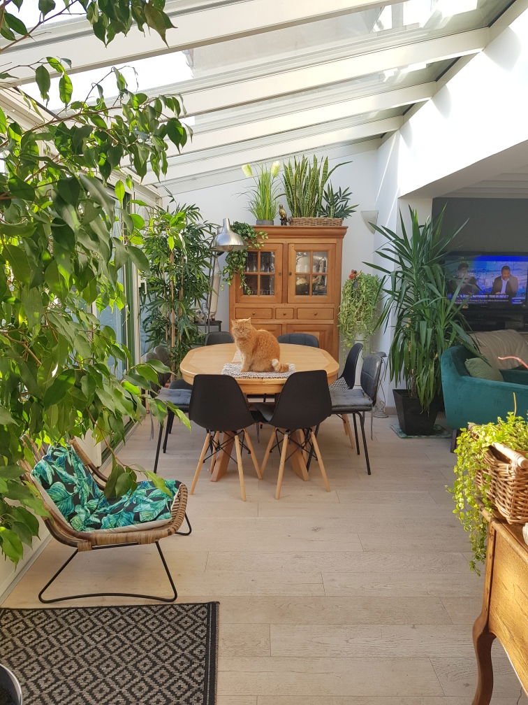 Gastfamilie Le Plessis-Robinson 430939