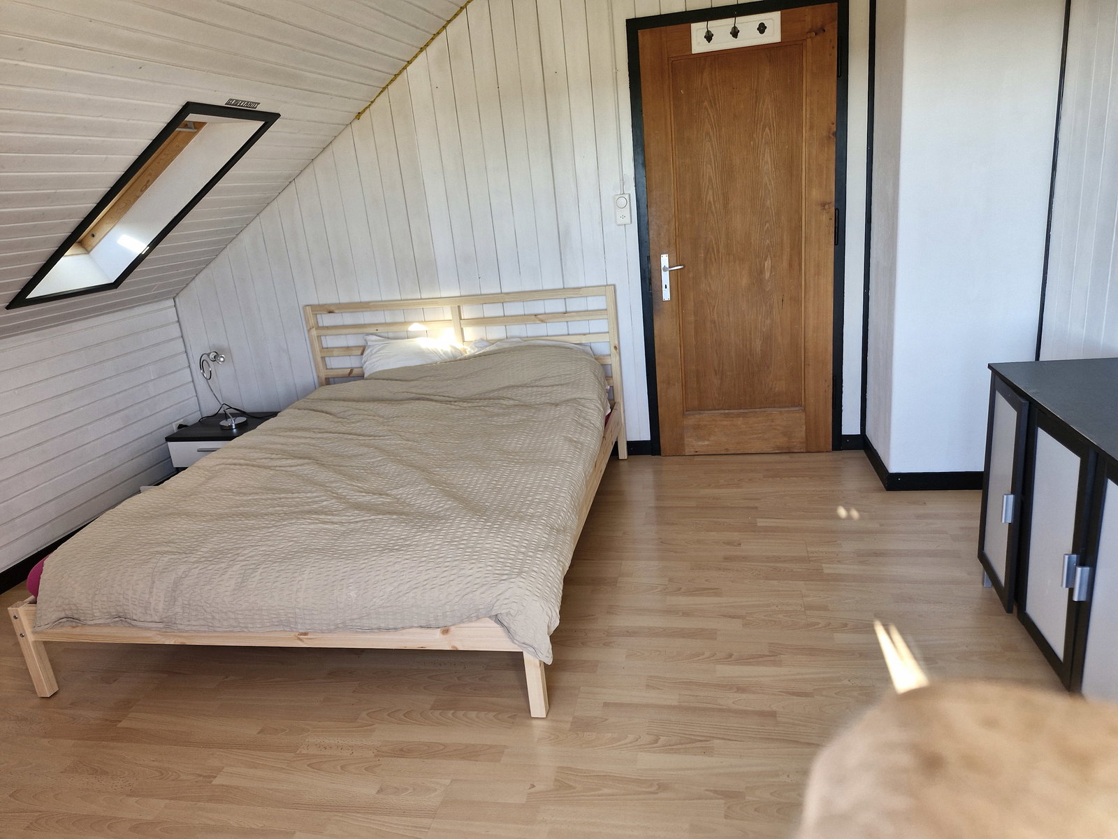 Kolokation Gampelen 660110