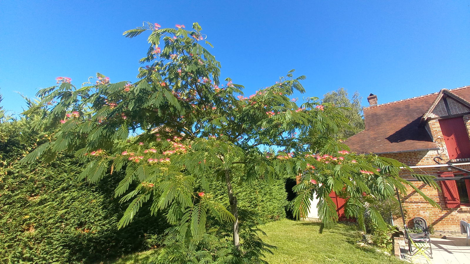 Gastfamilie Yvoy-le-Marron 359279