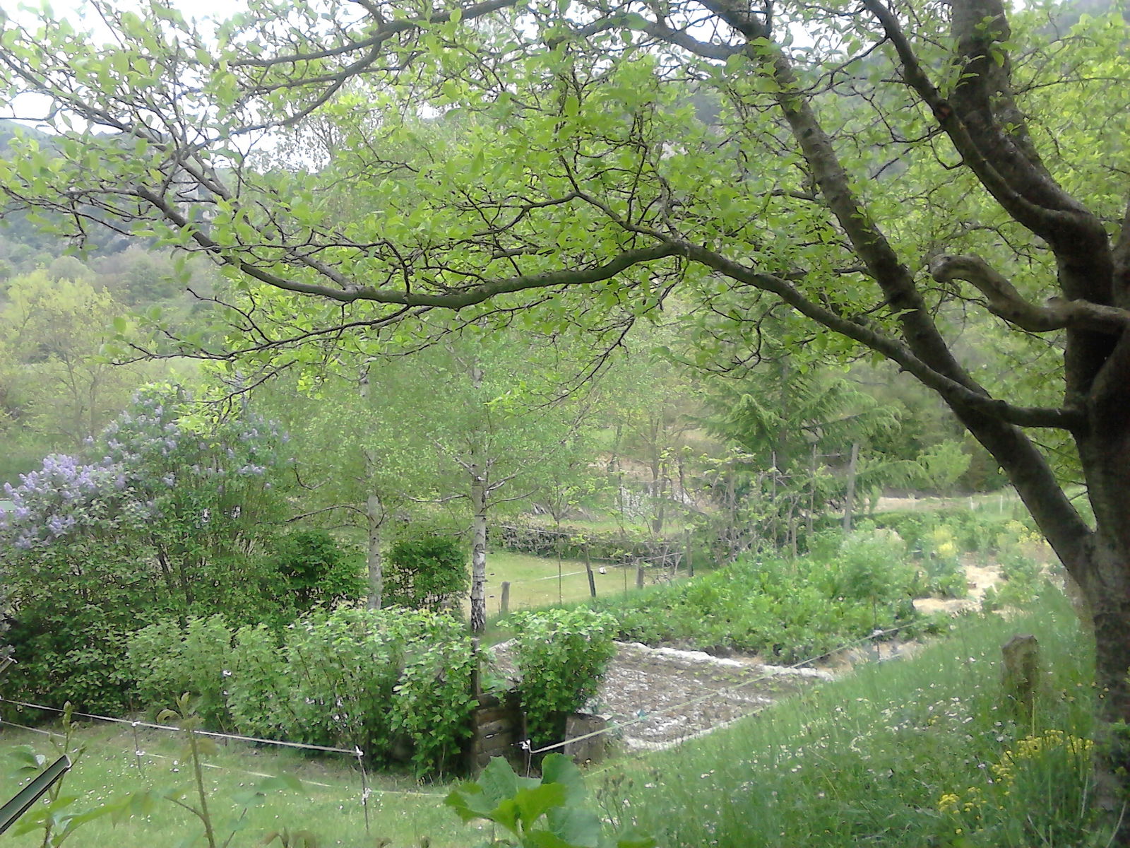 Gastfamilie Bugarach 104314