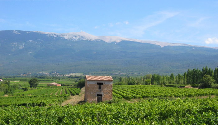 Gastfamilie Sérignan-du-Comtat 222639