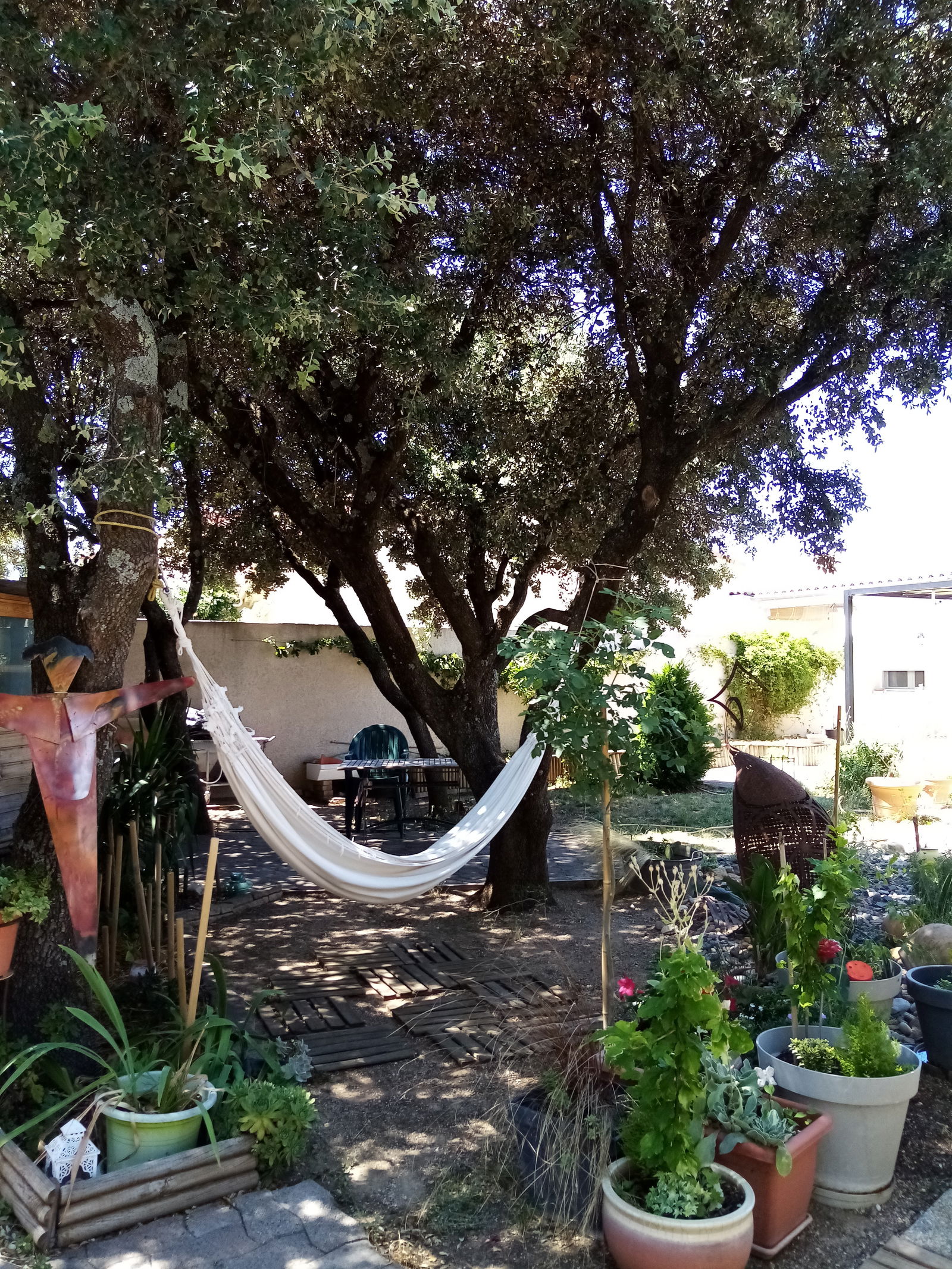 Gastfamilie Sérignan-du-Comtat 222639