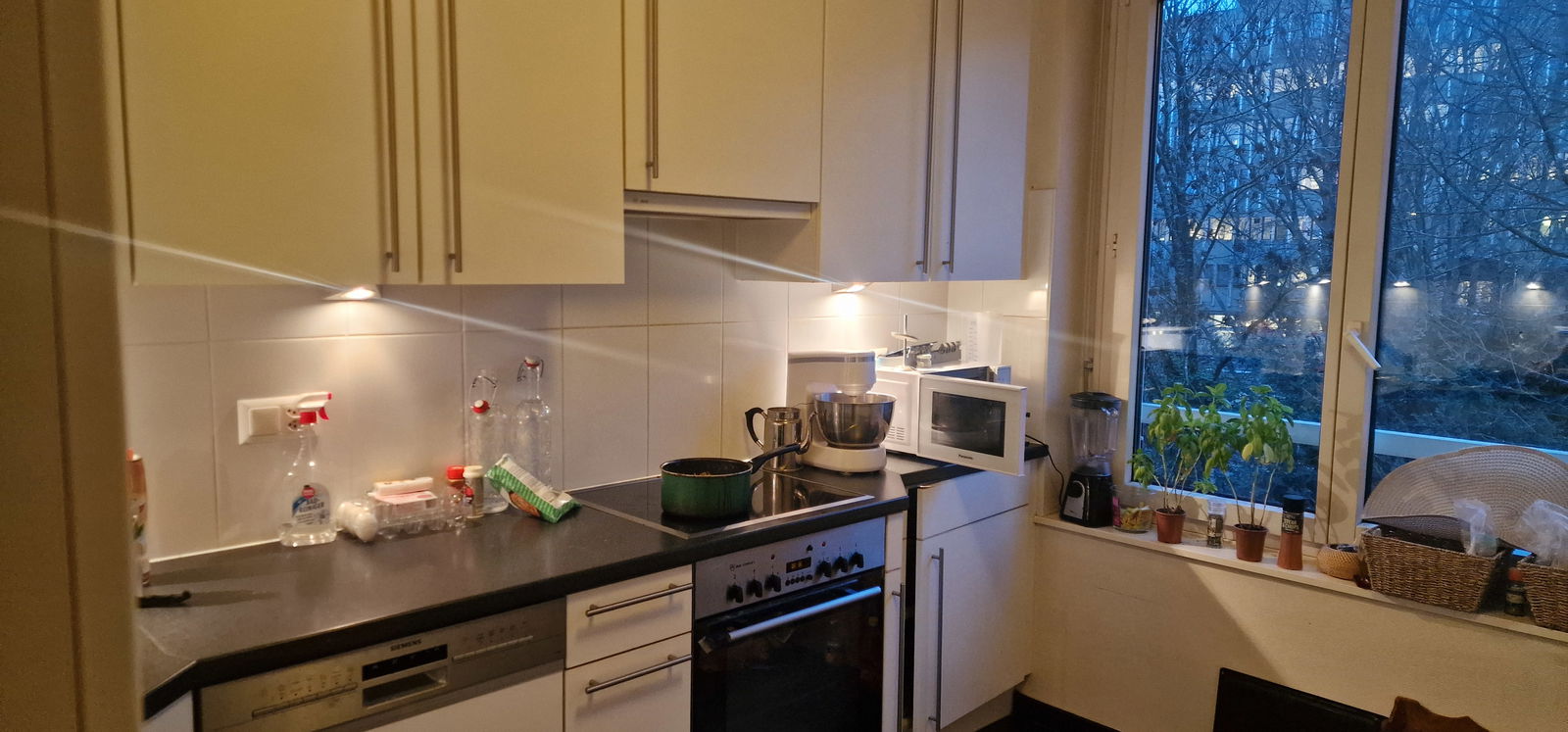 Zusammenleben Lausanne 441667