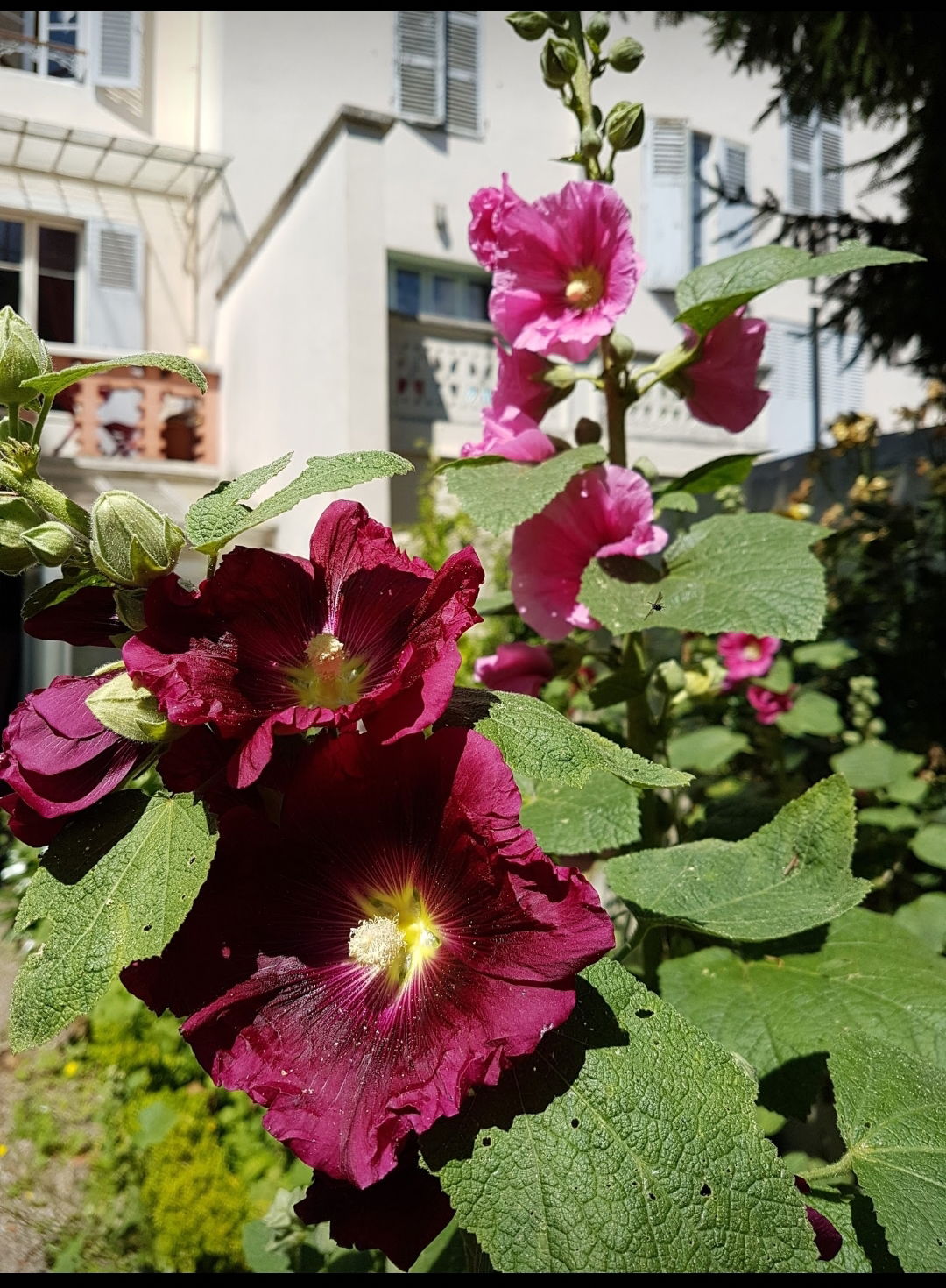 Gastfamilie Vichy 240108