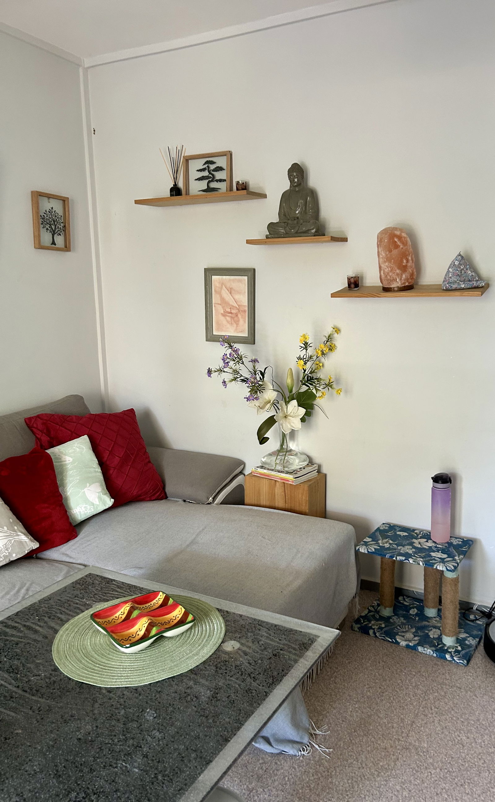 Gastfamilie Avignon 567006