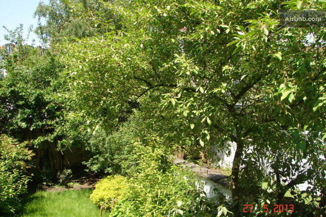 Gästezimmer Bruxelles 61145