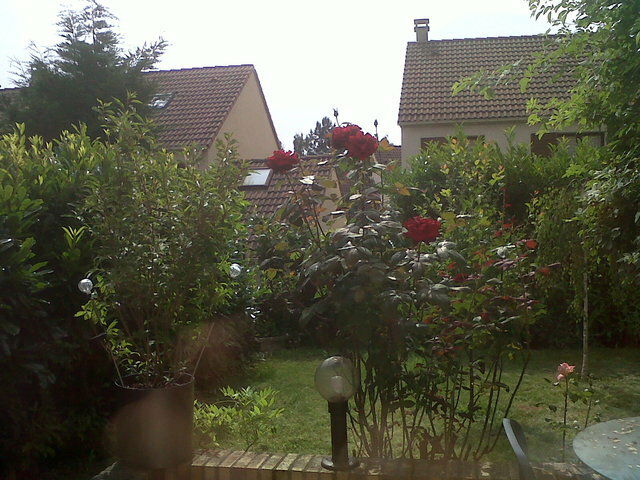 Kolokation Cergy-le-Haut 38564