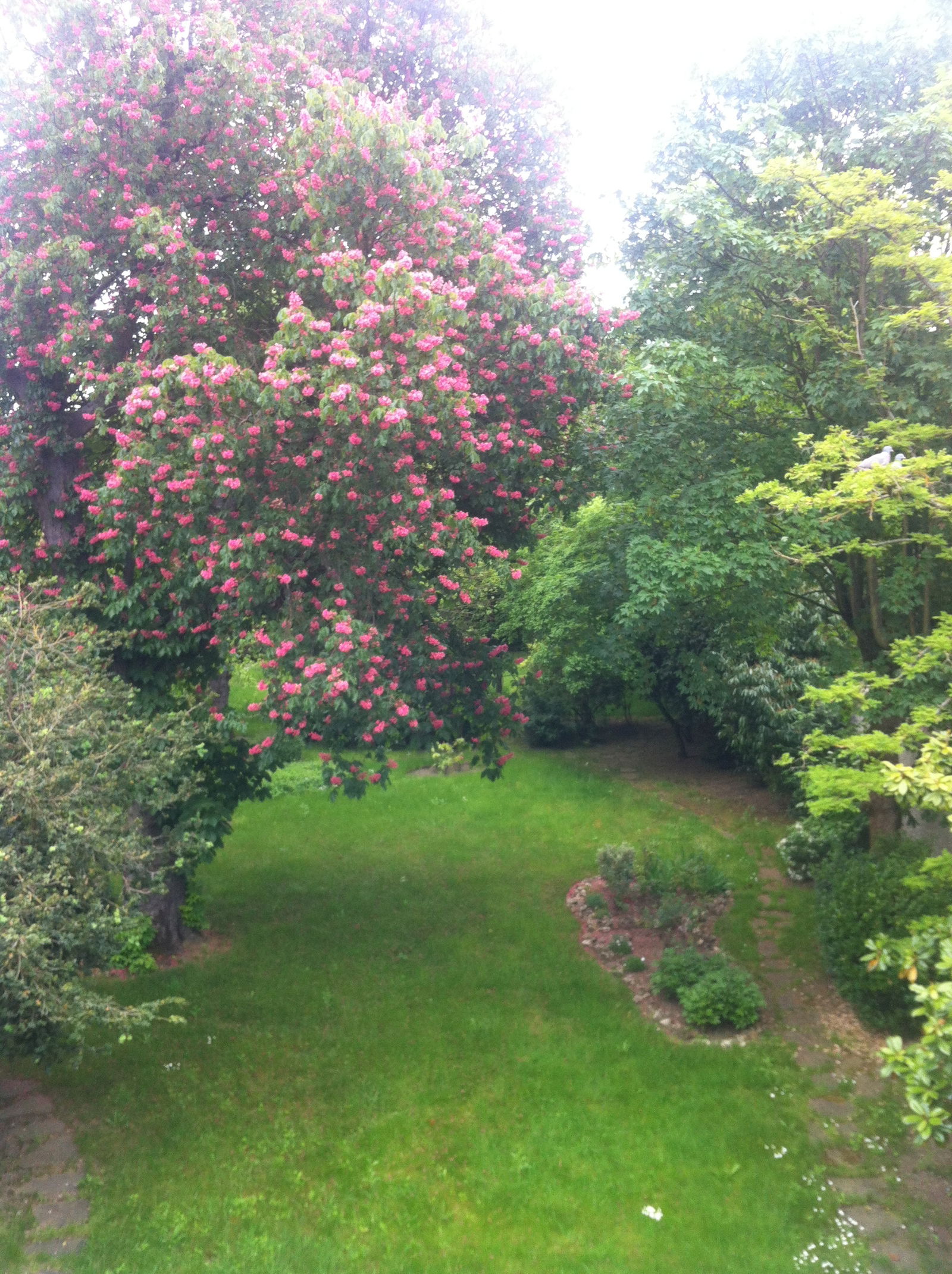 Gastfamilie Montgeron 218630