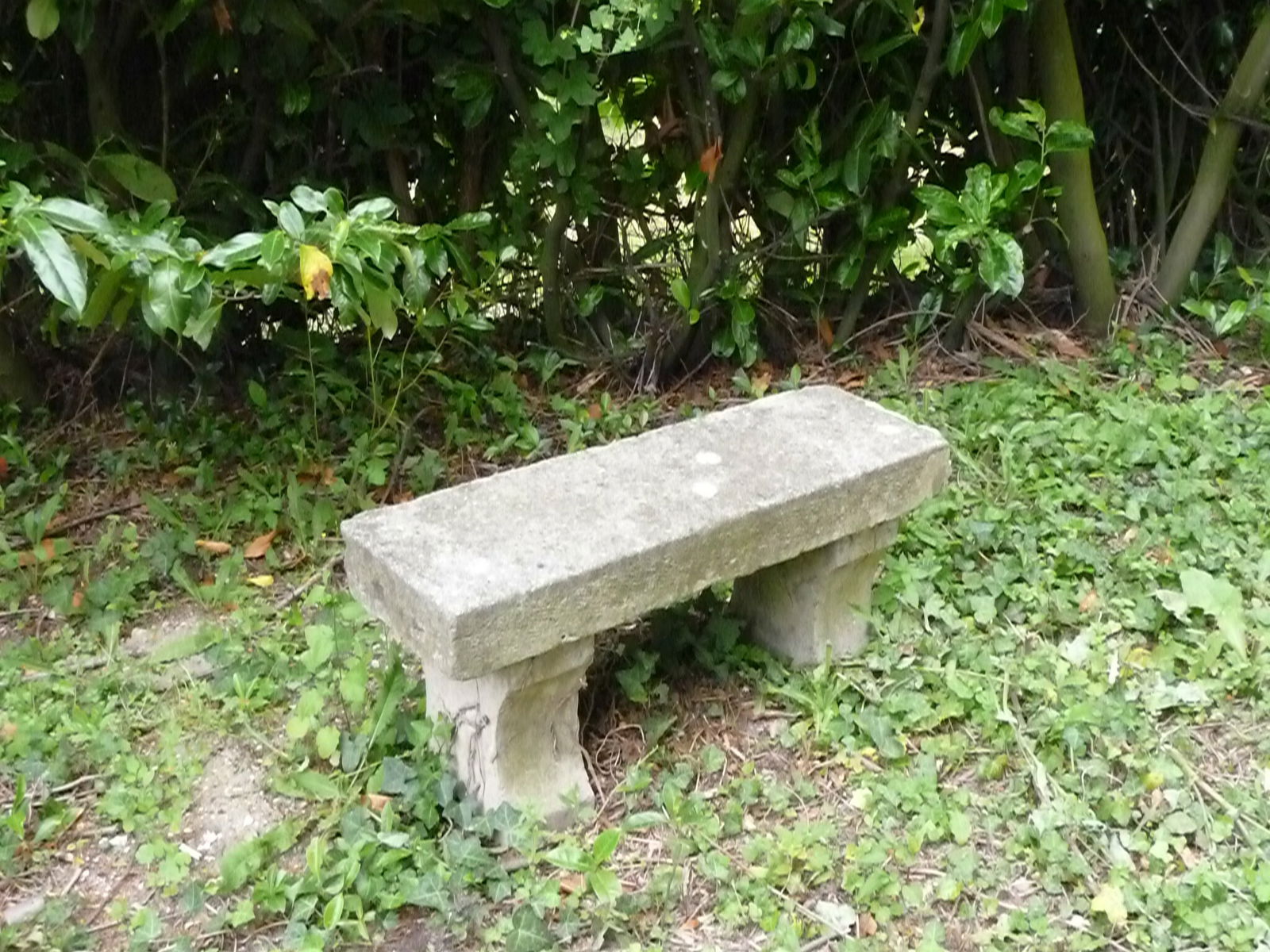 Gastfamilie Joué-lès-Tours 82663