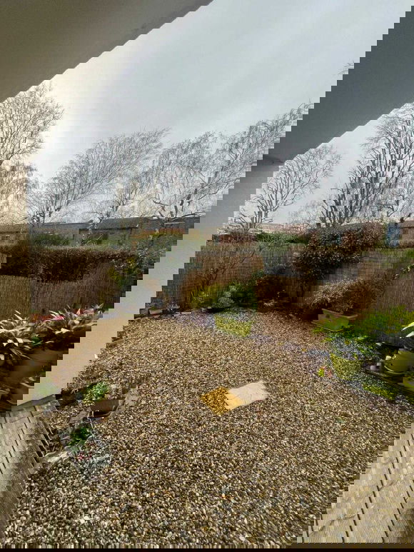 Kolokation Évry-Courcouronnes 495996