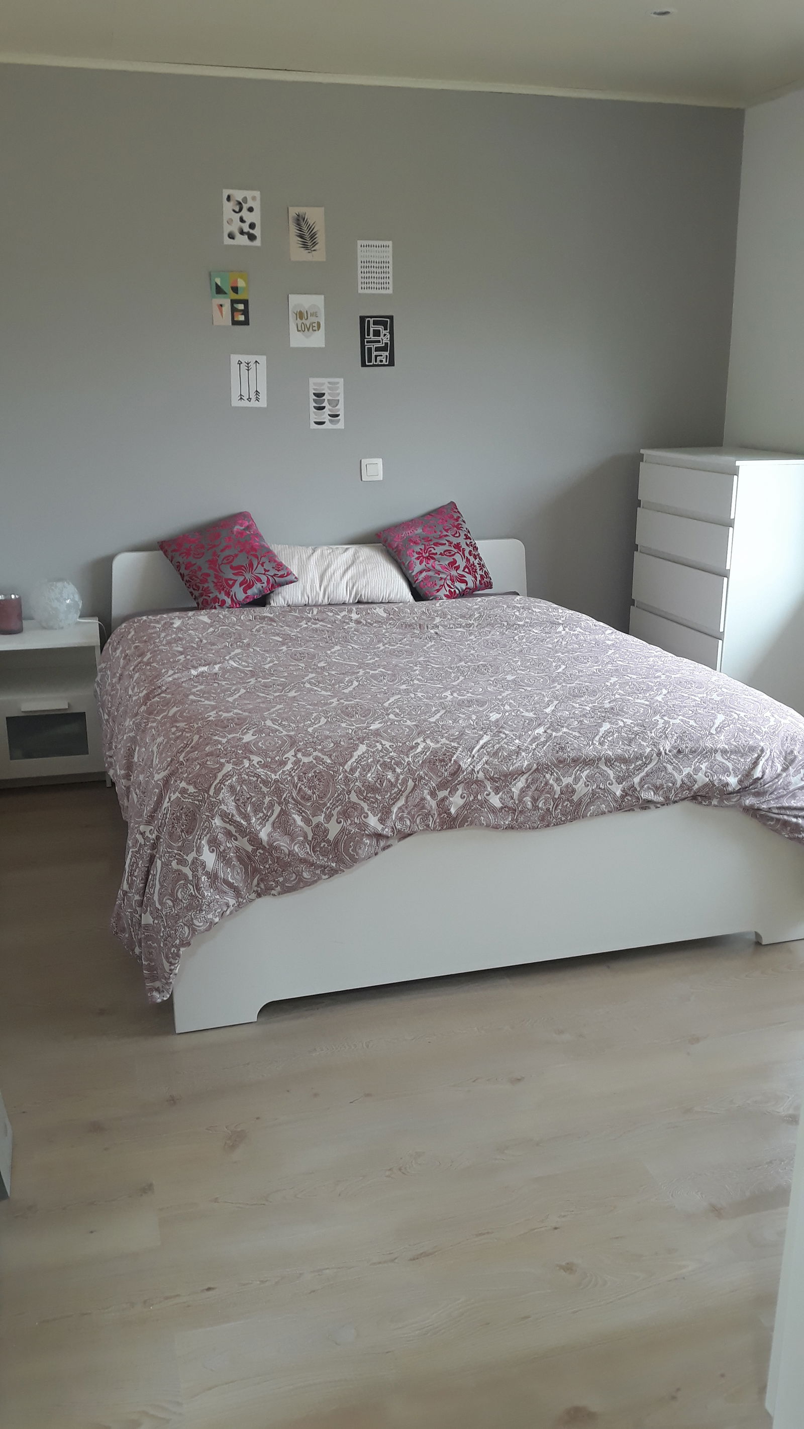 Kolokation Nivelles 658034