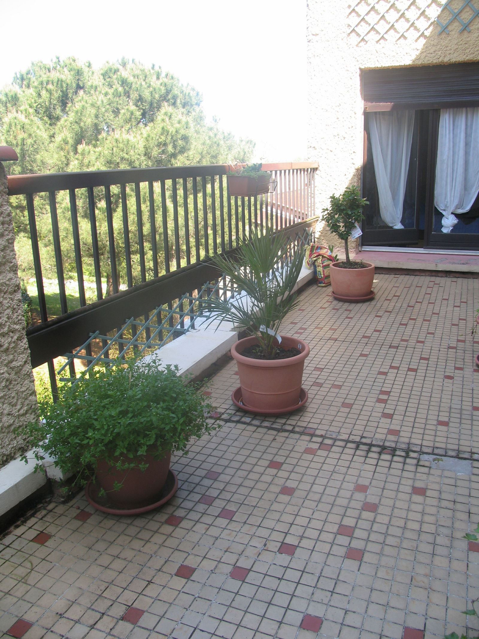 Gastfamilie Ramonville-Saint-Agne 82664