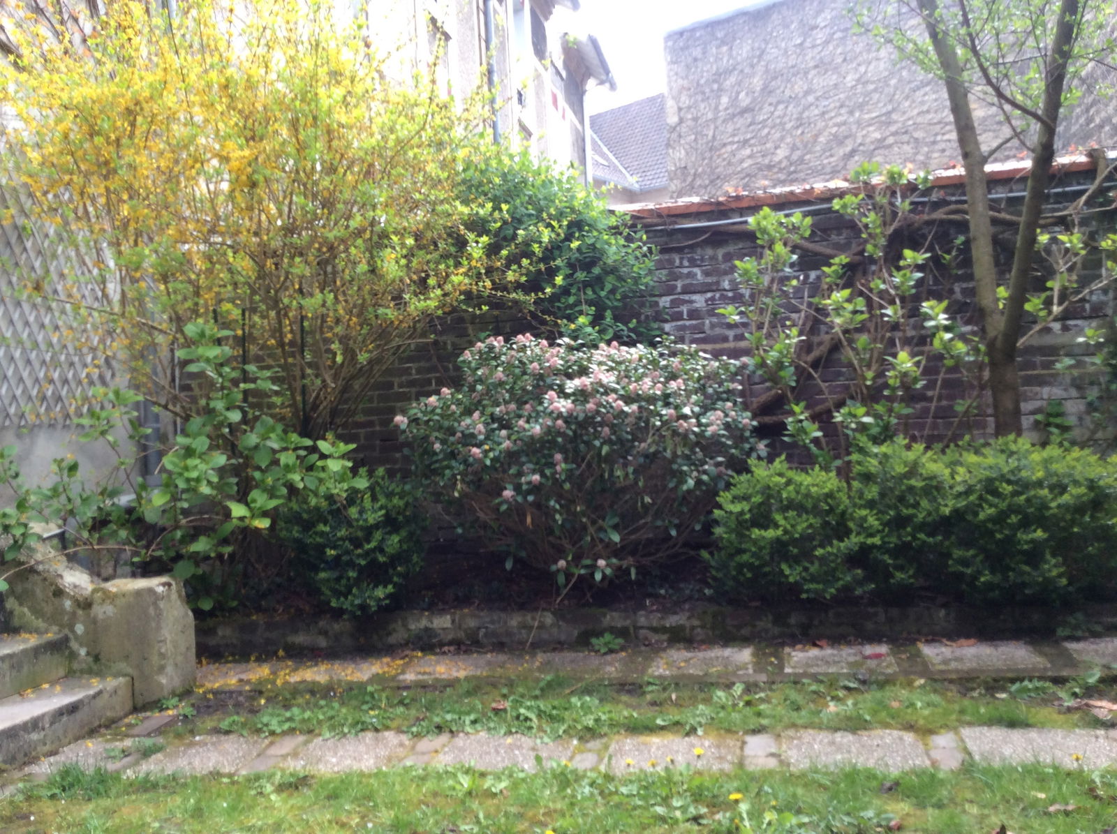 Gastfamilie Gouvieux 243906