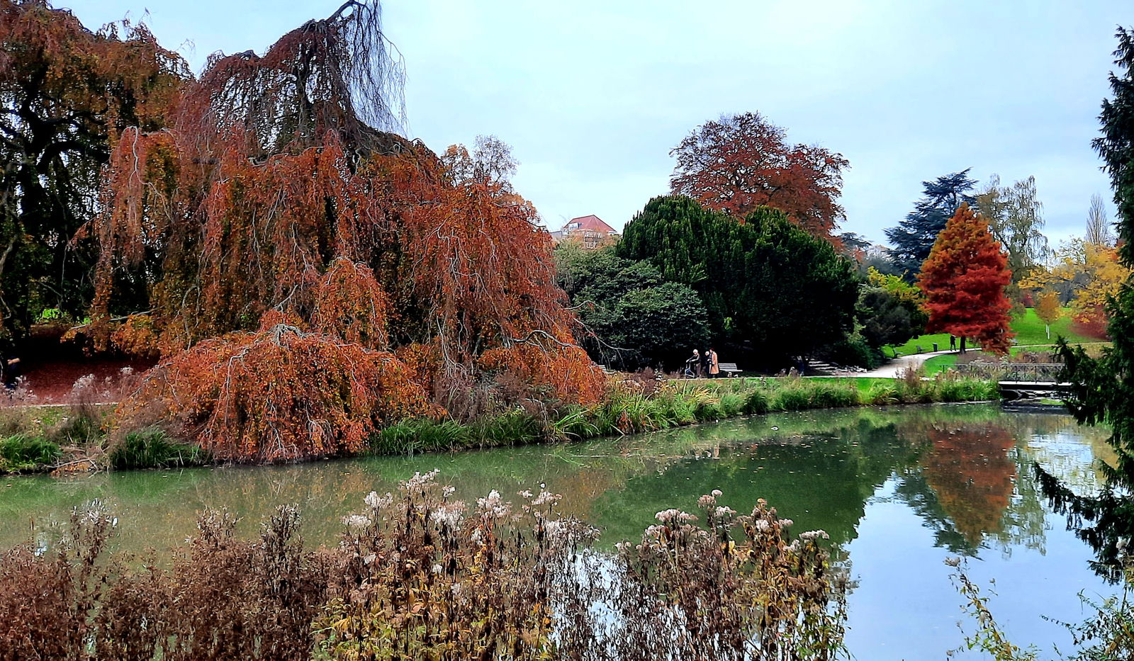 Gastfamilie Roubaix 118198
