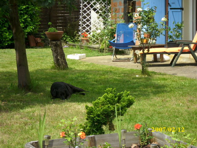 Gastfamilie Le Teich 79029