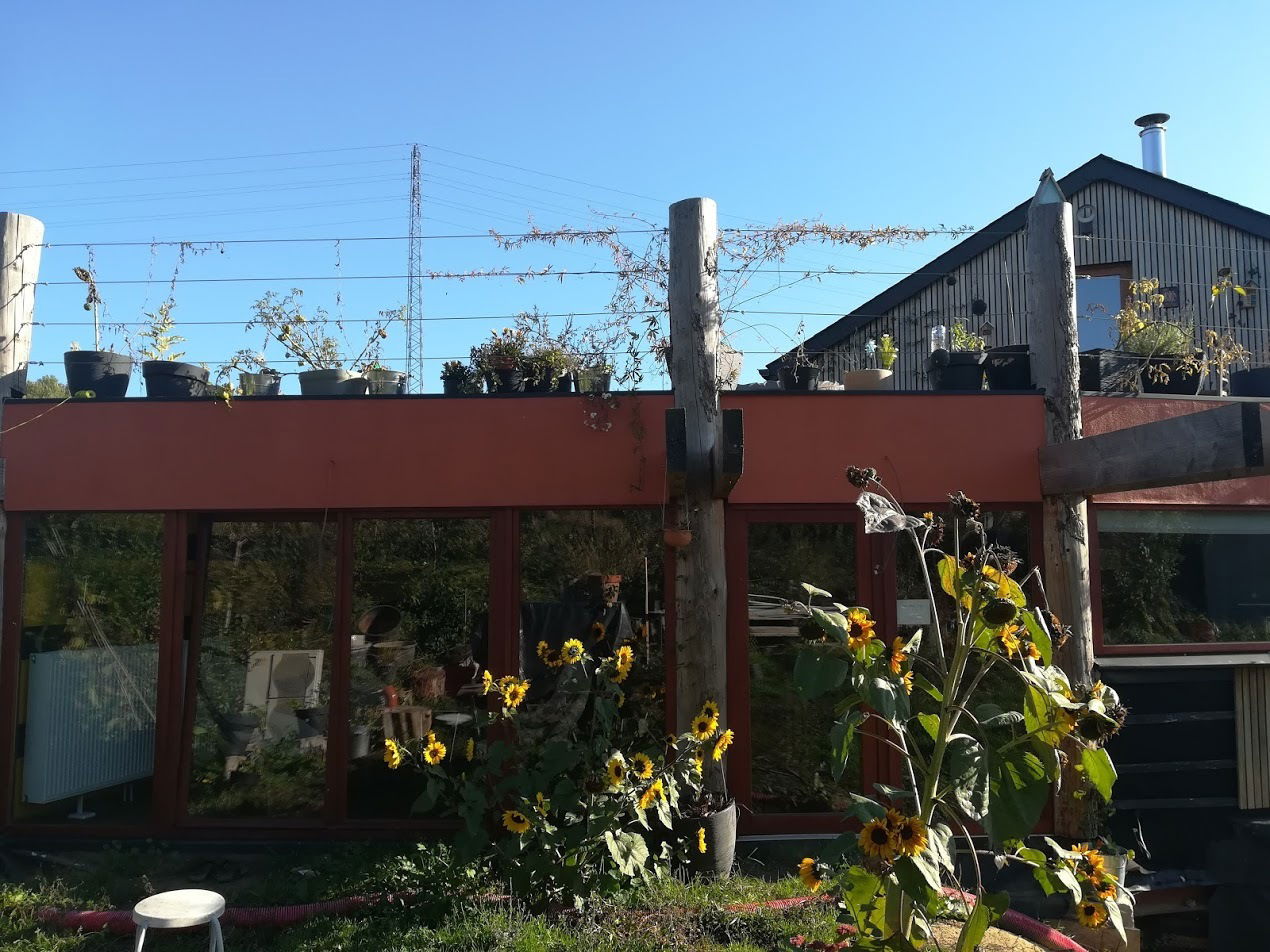 Gastfamilie Liège 243851