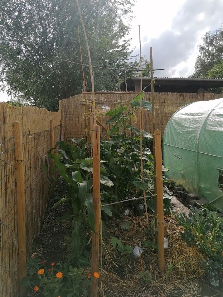 Gastfamilie Liège 243851