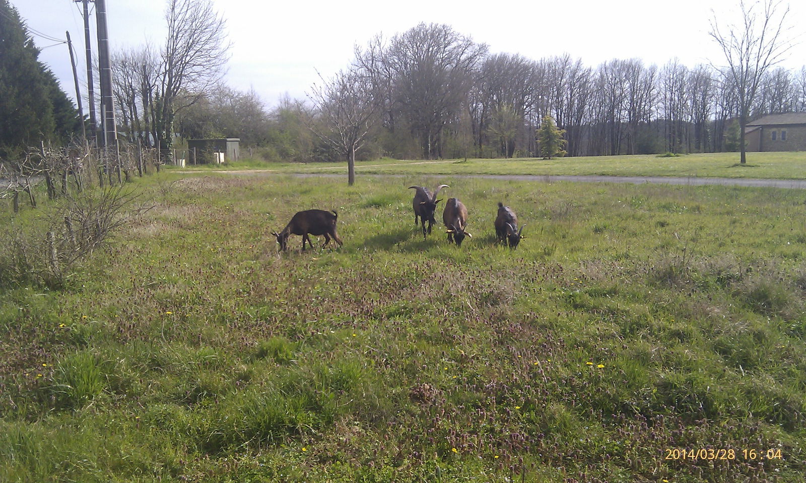 Gastfamilie Audrix 44264