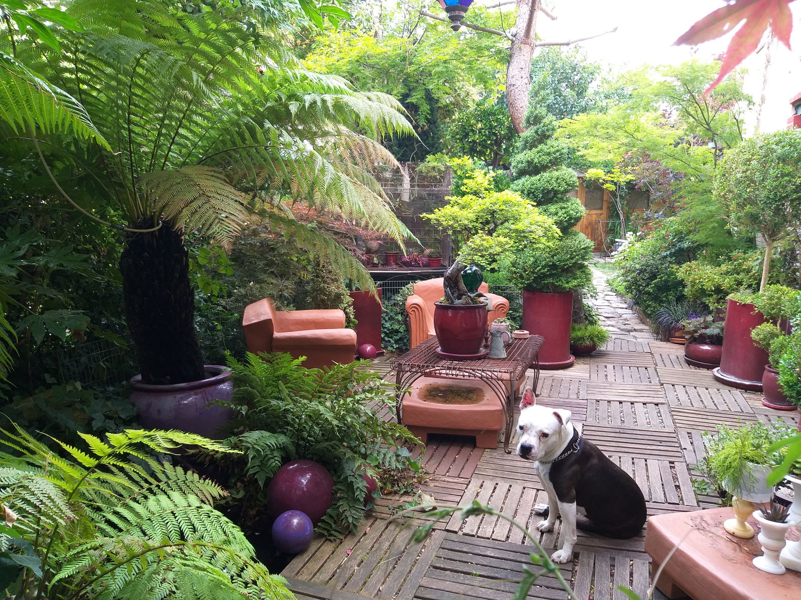 Gastfamilie Antony 42728