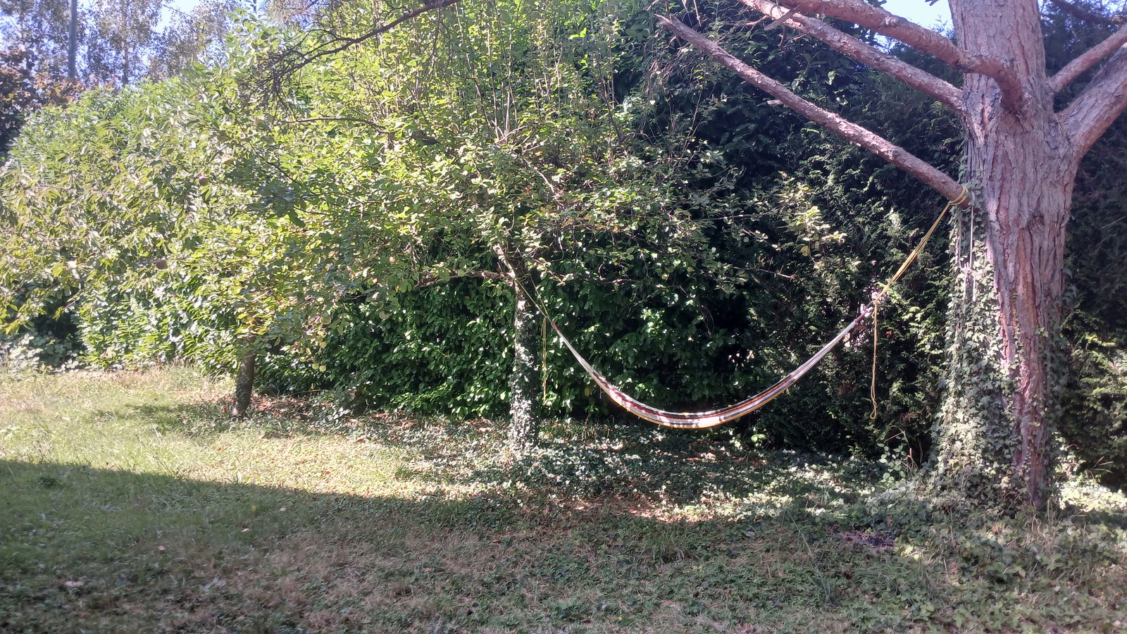 Gastfamilie Lancy 419759