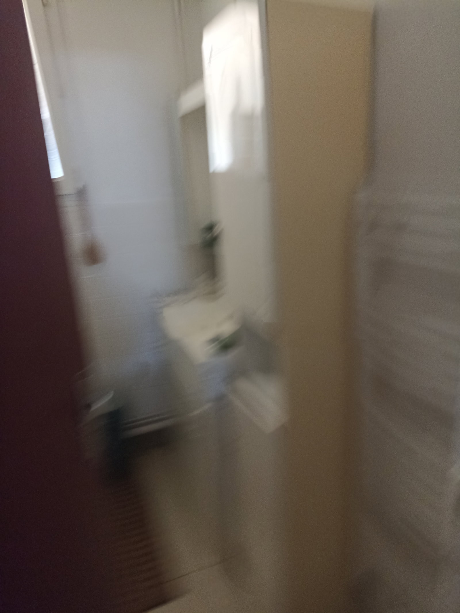 Kolokation Cenon 538379