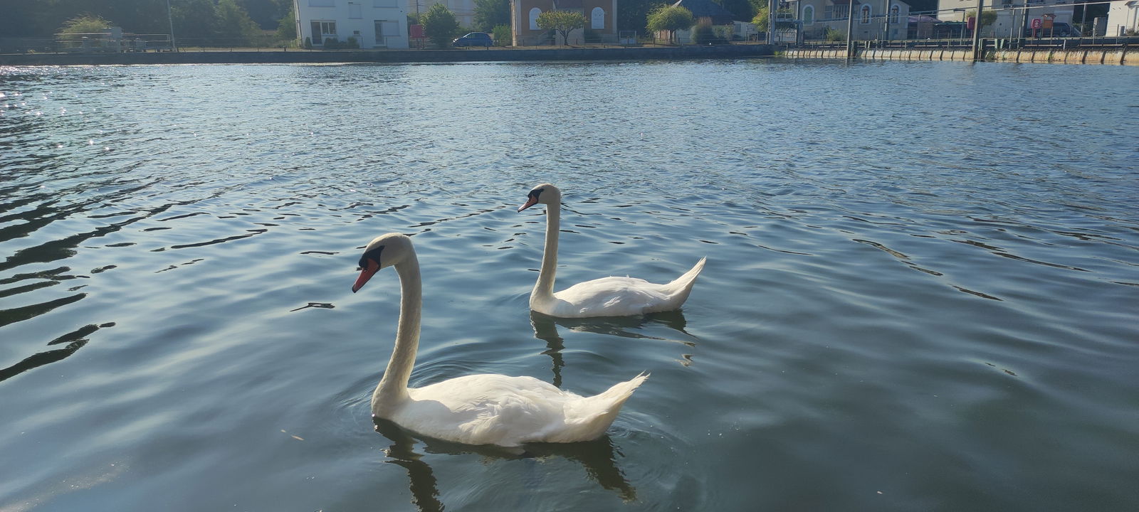 Gastfamilie Auxerre 614906