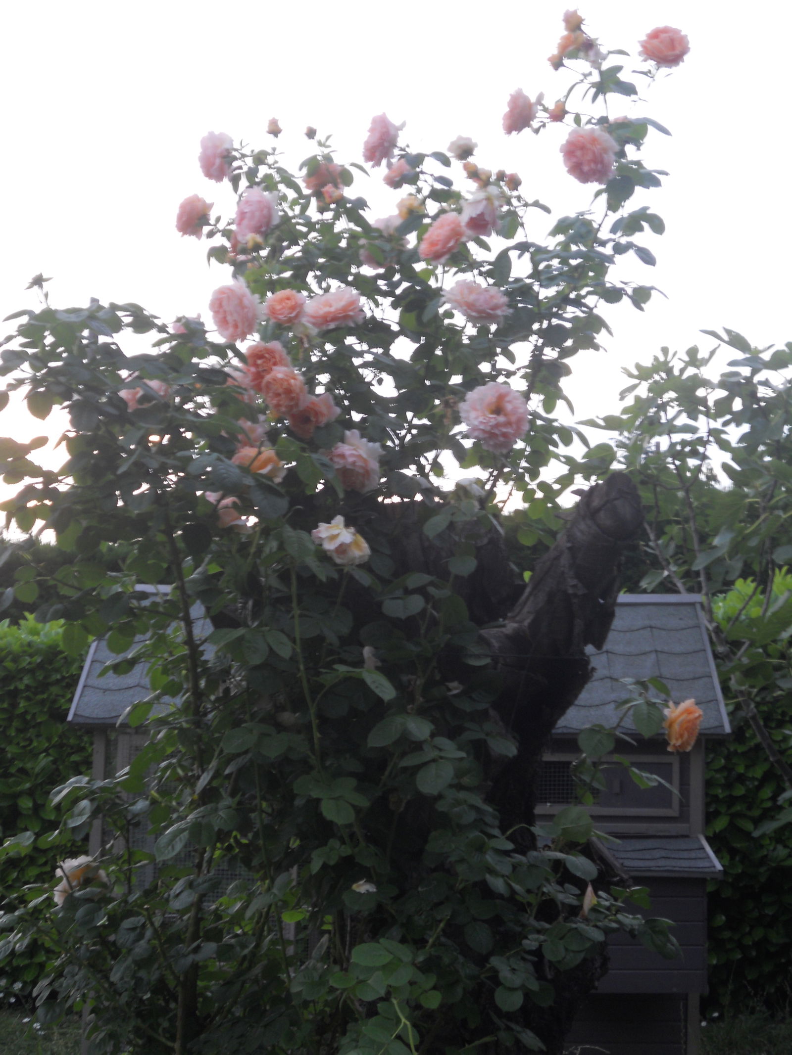 Gastfamilie Bon-Encontre 130536
