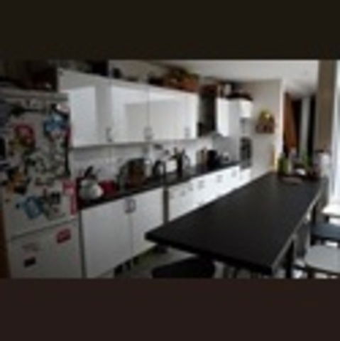 Kolokation Pantin 37169