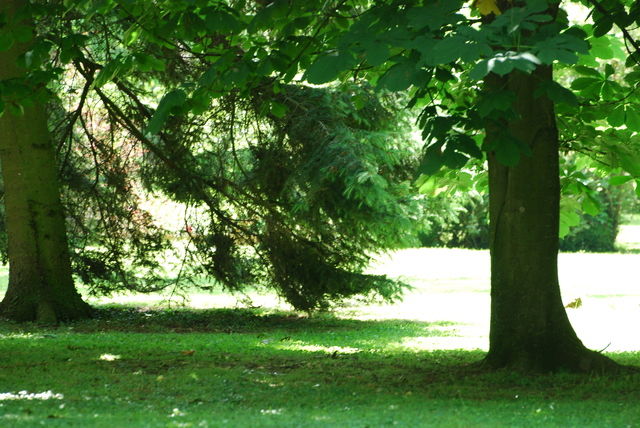 Kolokation Maillot 46930