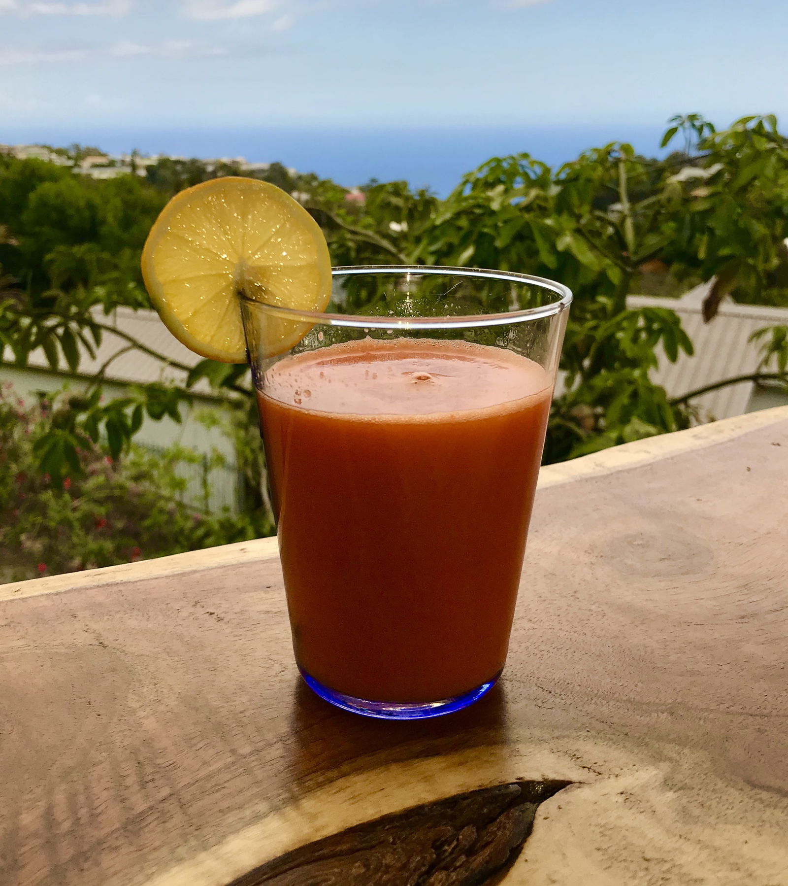 Gastfamilie La Montagne 207445