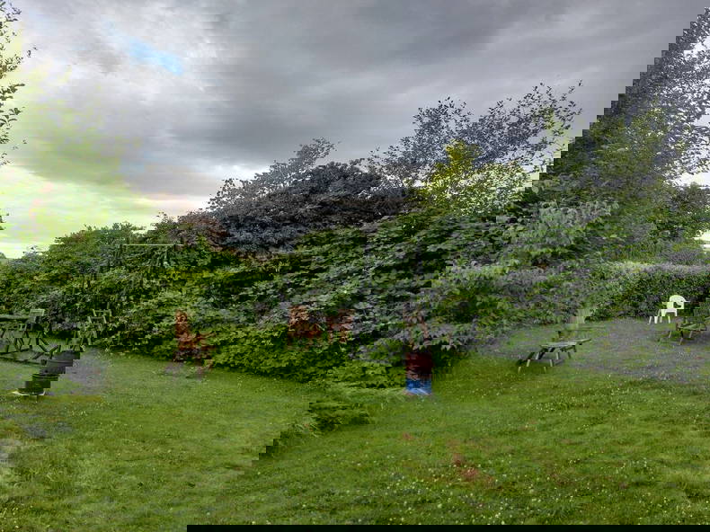 Zusammenleben Köln 657099-5