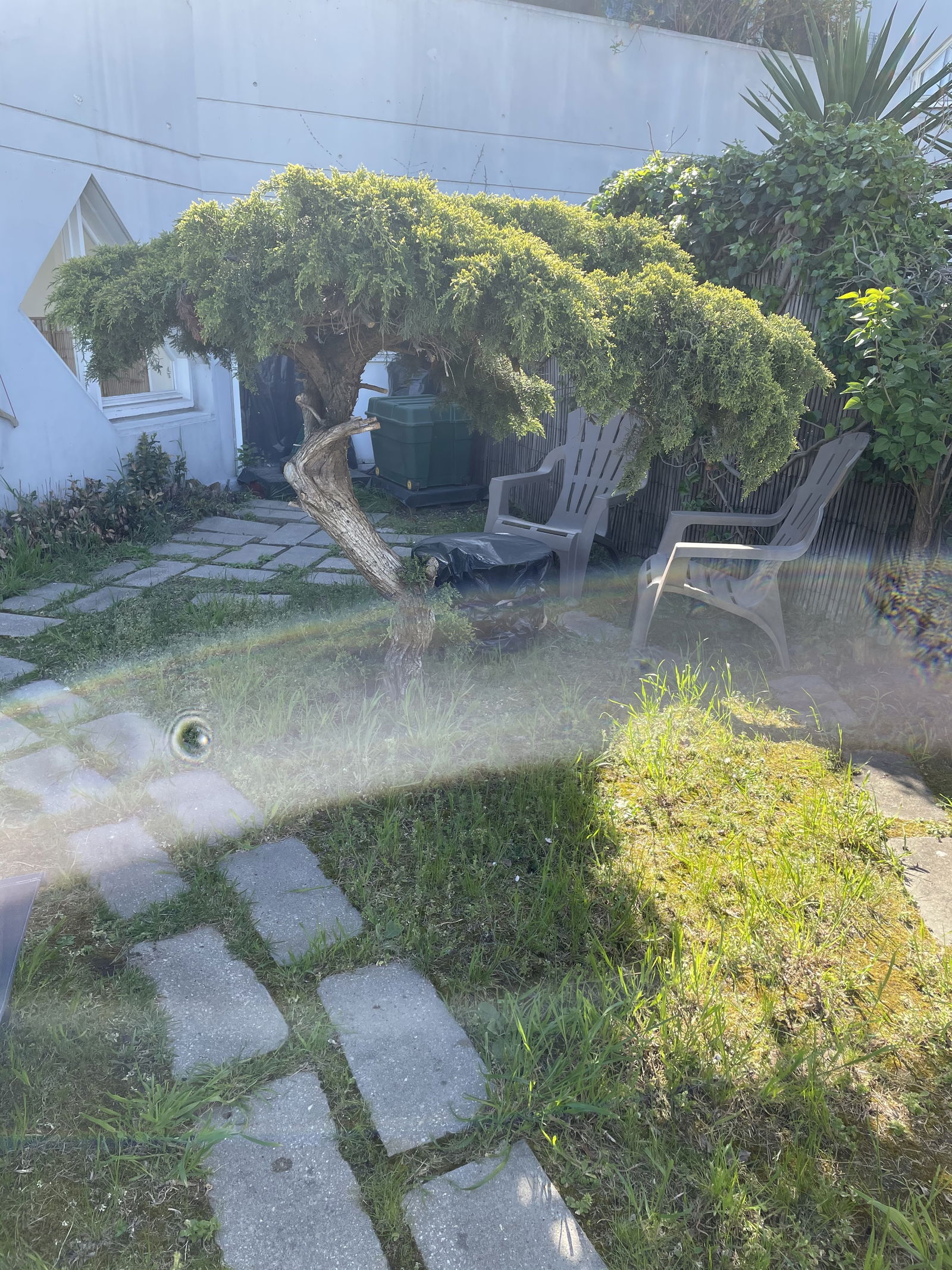 Kolokation Ivry-sur-Seine 247935