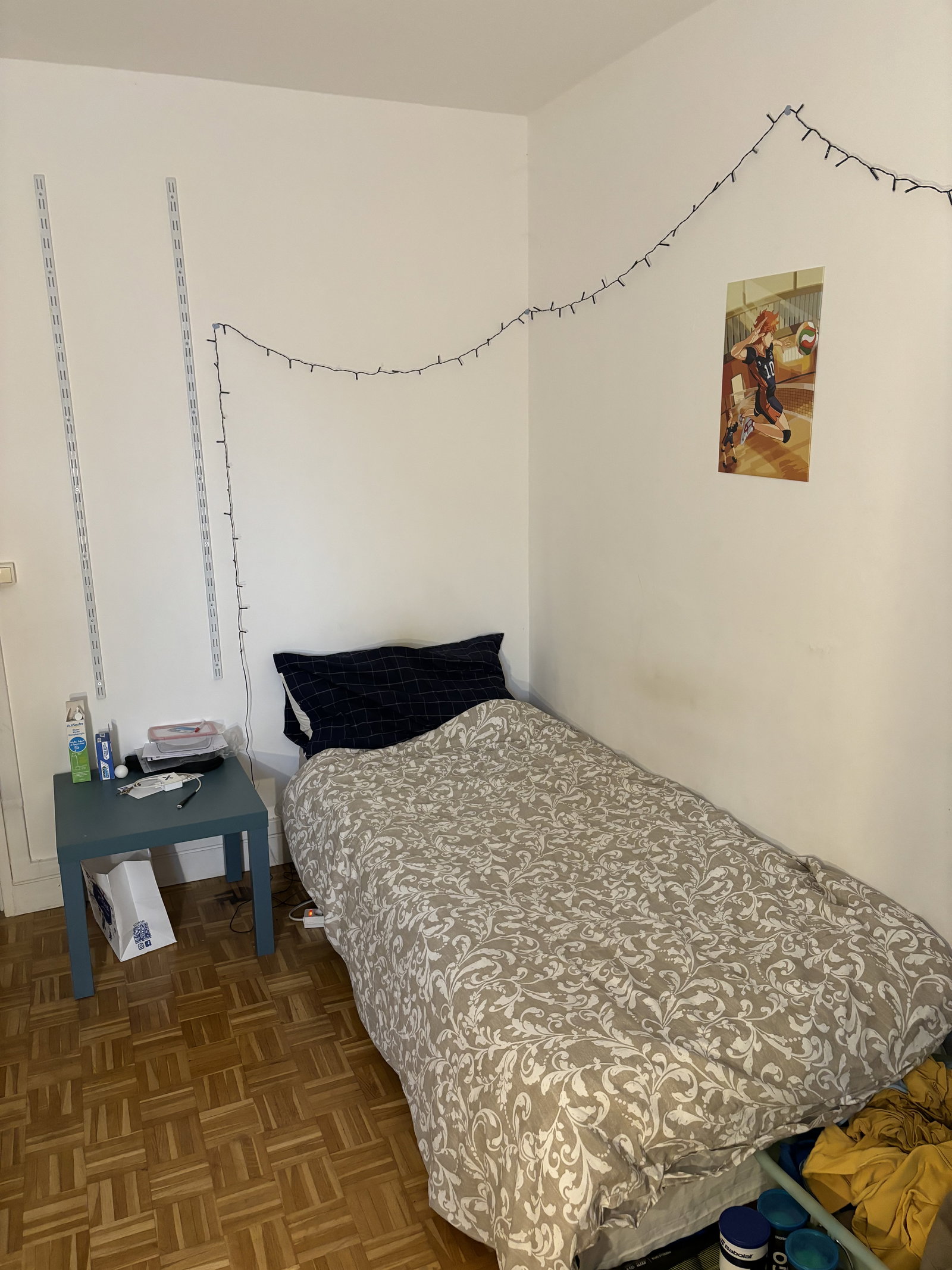 Kolokation Ivry-sur-Seine 247935