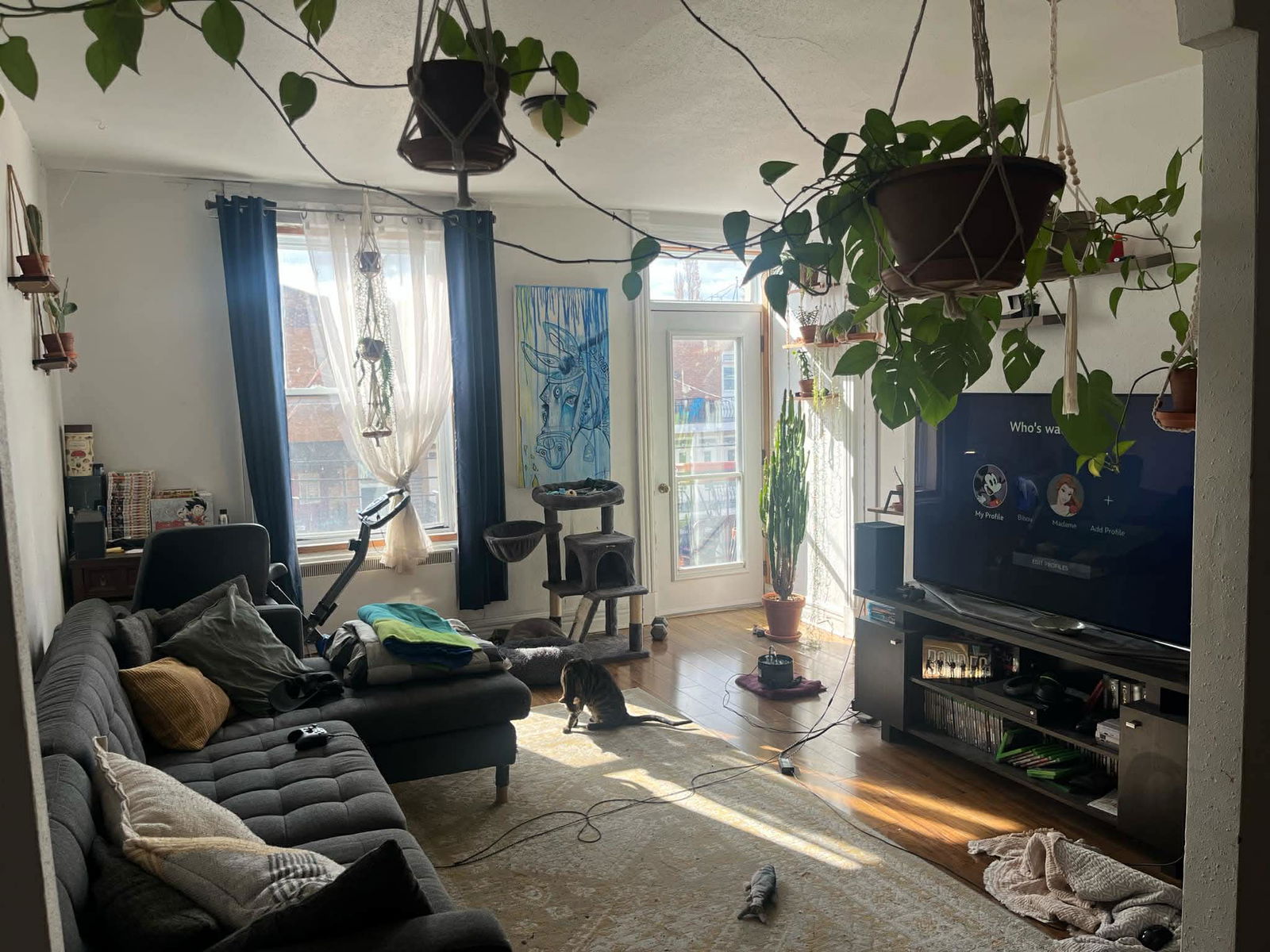 Gastfamilie Montréal 659843