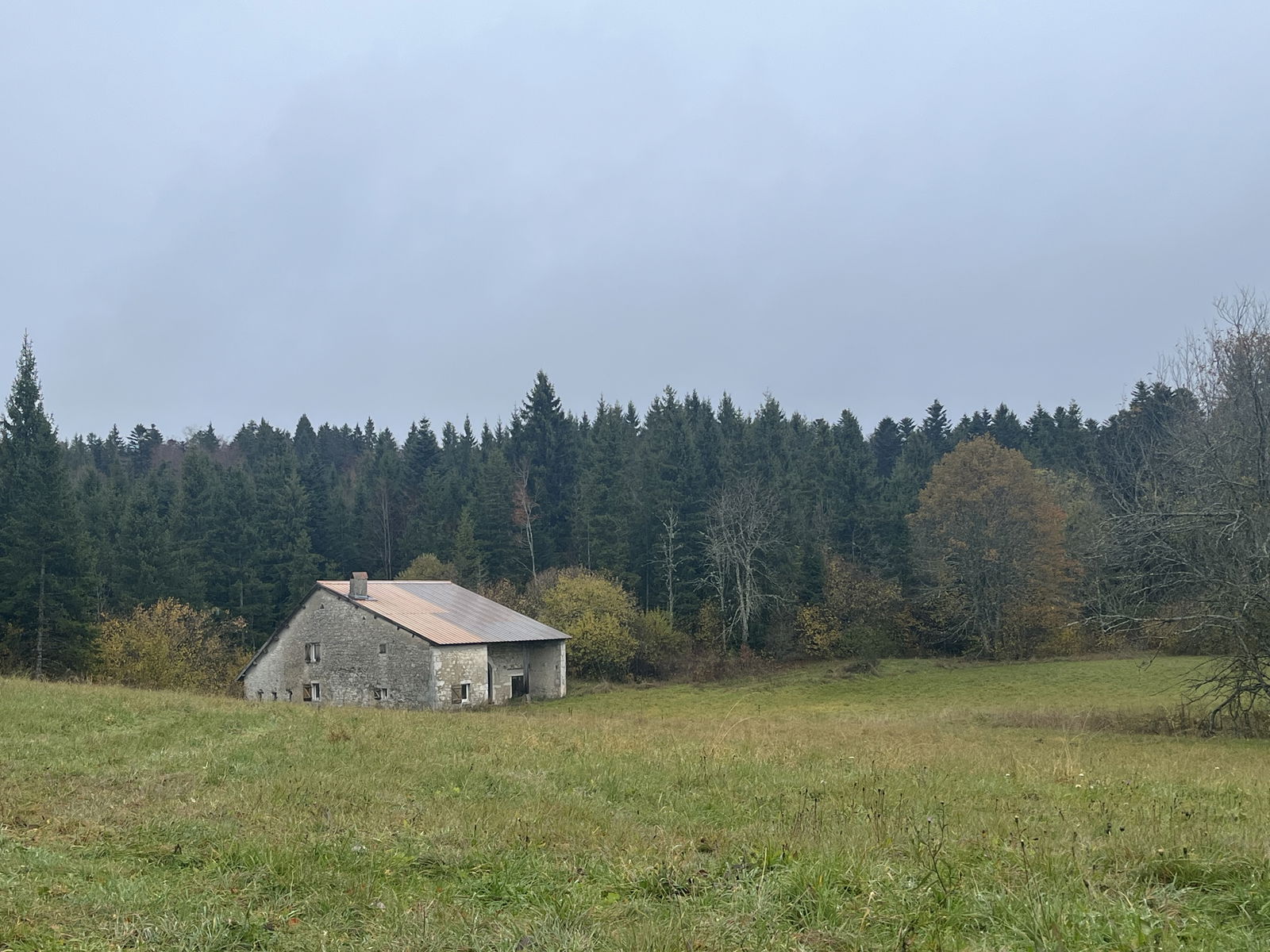 Gastfamilie Béard-Géovreissiat 631420