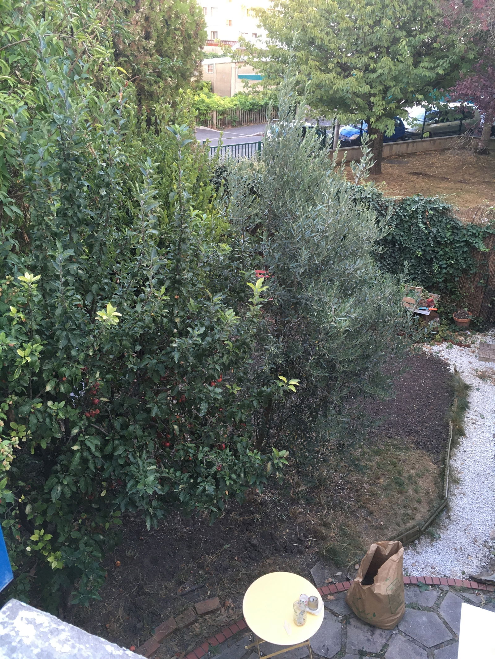 Gastfamilie Noisy-le-Sec 242297