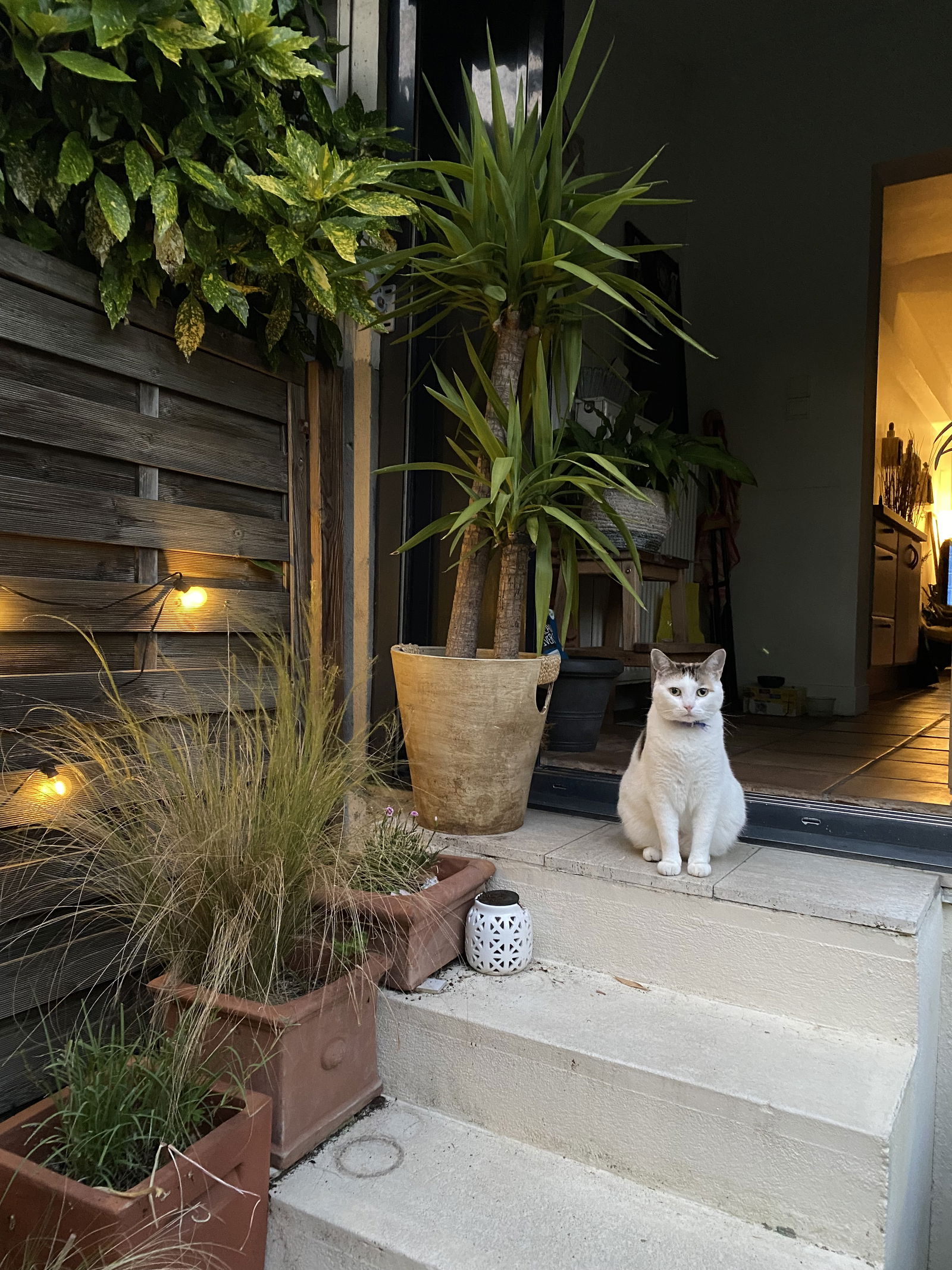 Gastfamilie Le Pecq 220319