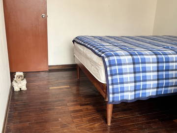 Chambre Chez L'habitant San Miguel 470856-4