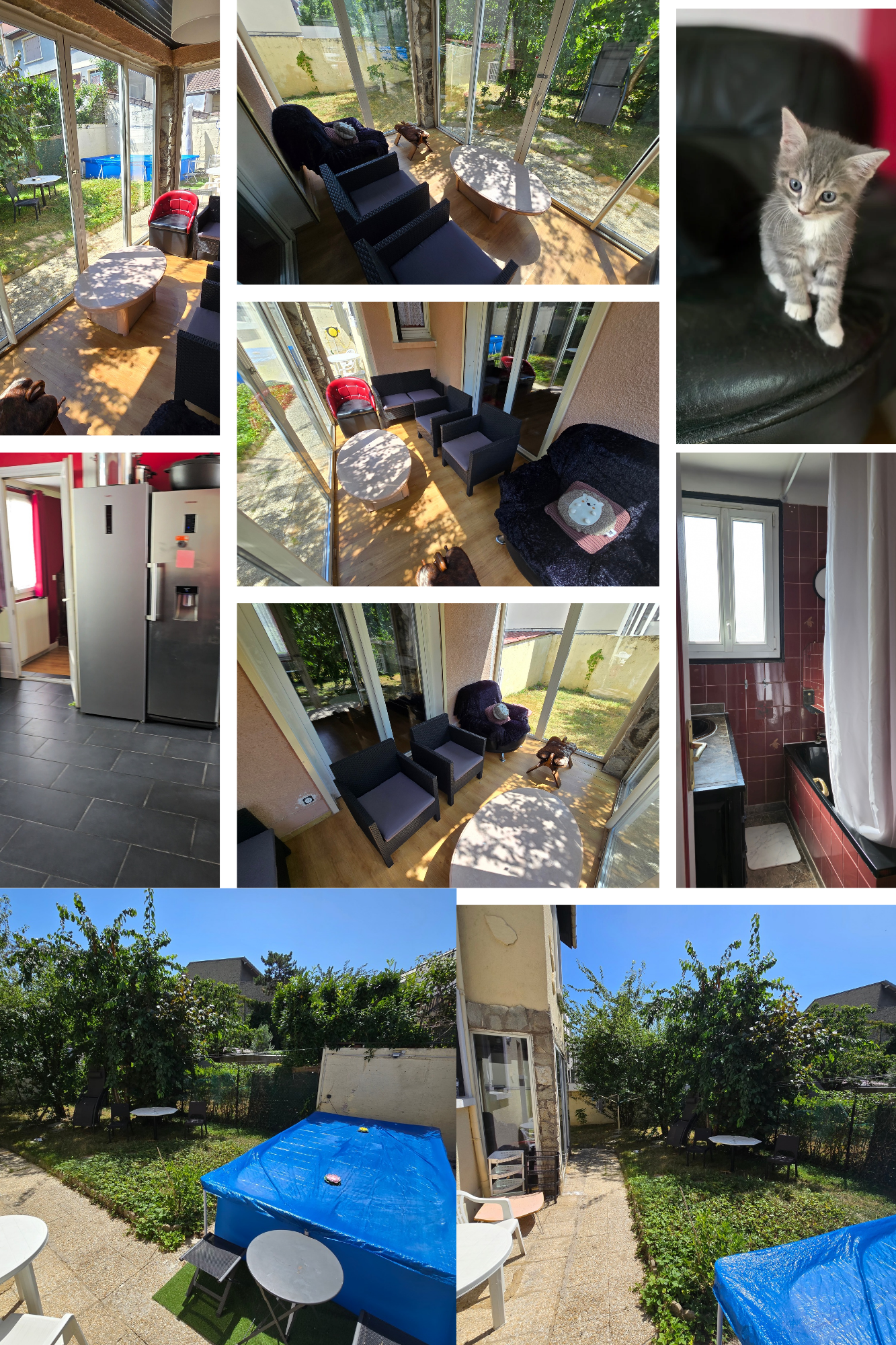 Kolokation Noisy-le-Sec 572848