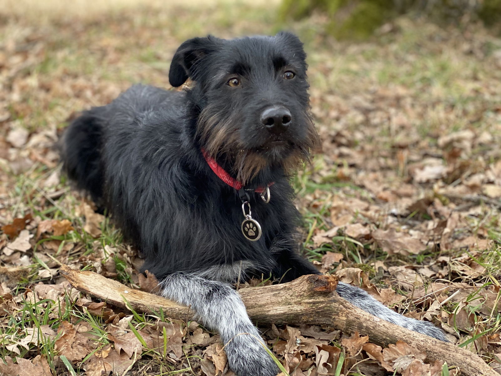 Gastfamilie Rances 205408