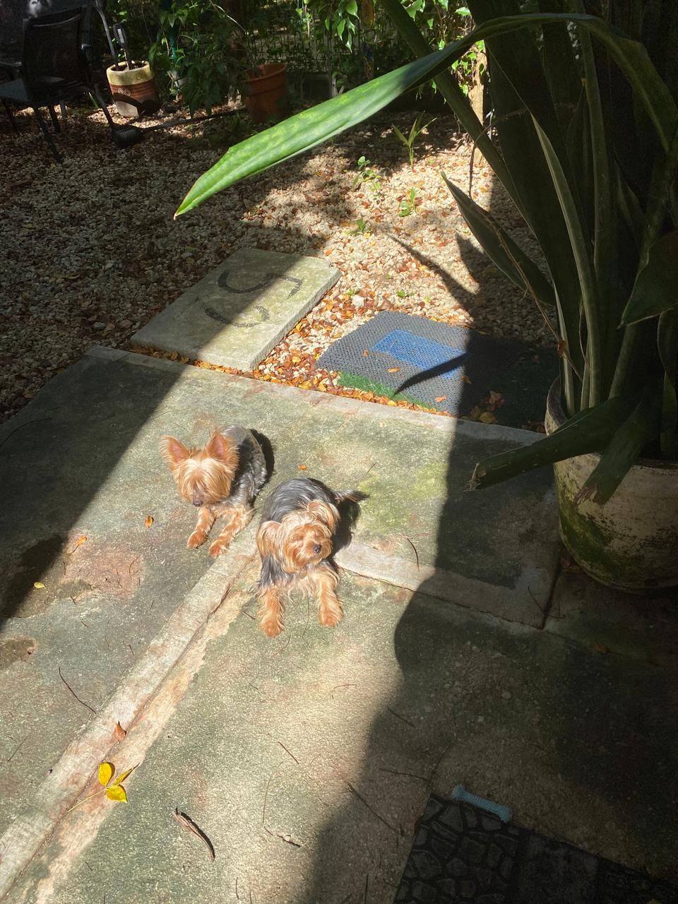 Zusammenleben Playa del Carmen 396605