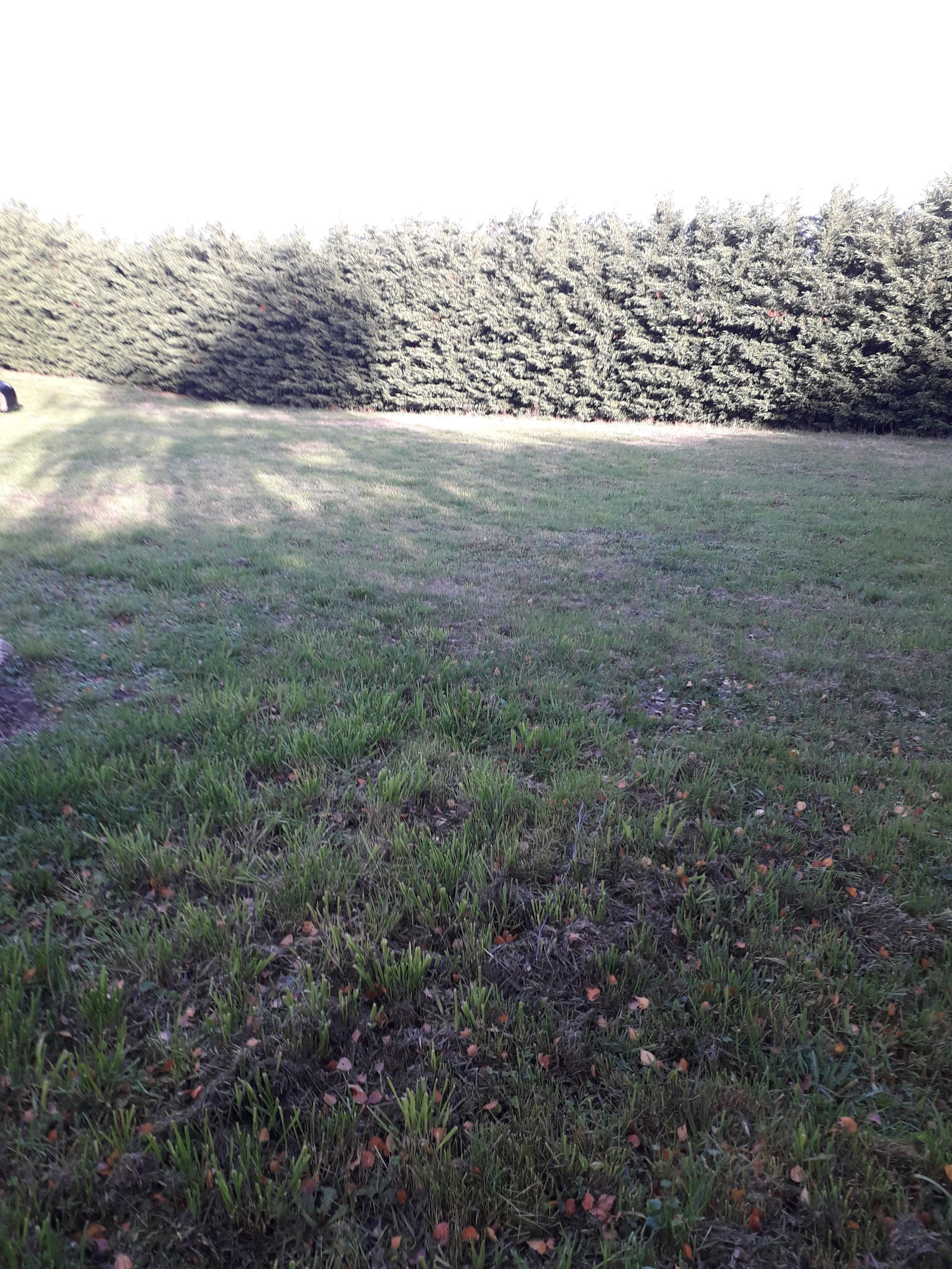 Gastfamilie Saint-Symphorien-sur-Coise 614352