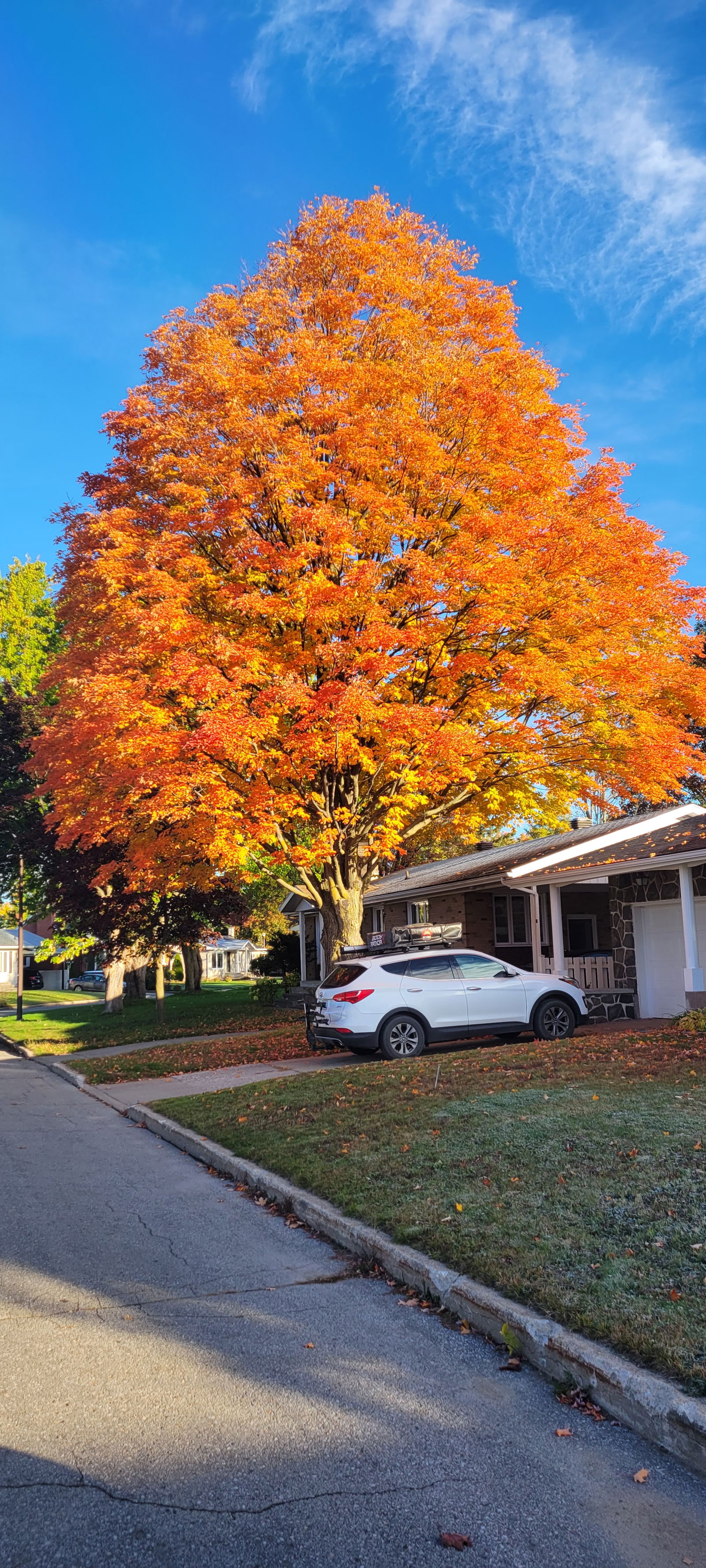 Gastfamilie Trois-Rivières 258639