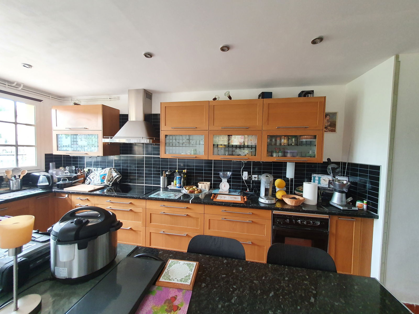 Kolokation Tournefeuille 242582