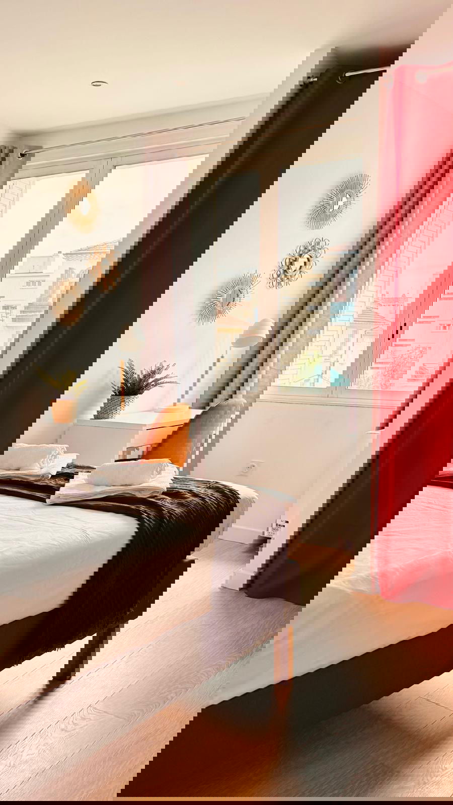 Kolokation Toulon 657677