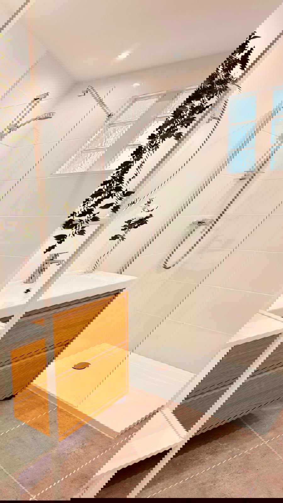 Kolokation Toulon 657677