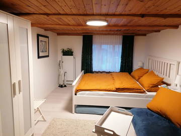 Chambre chez l'habitant à louer à Altstätten-5