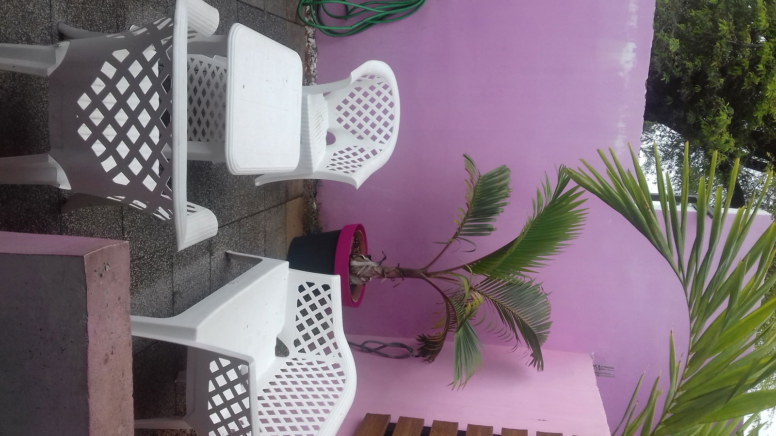 Kolokation Sainte-Clotilde 151545